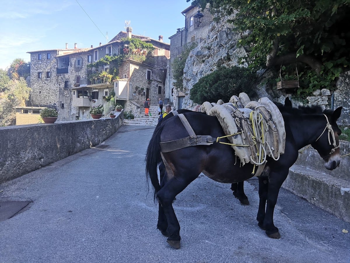 B&B dell'Artista