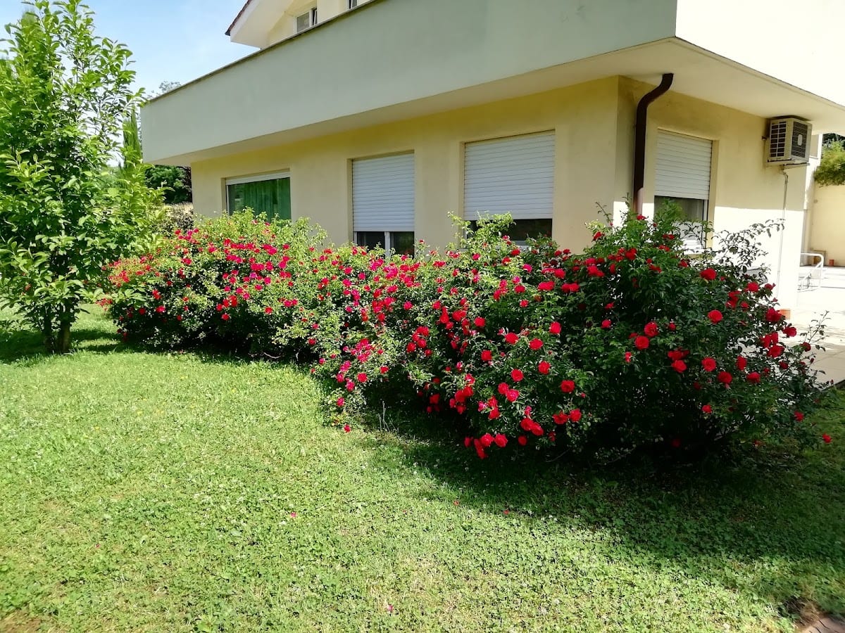 B&B Terra del Sole Valmontone