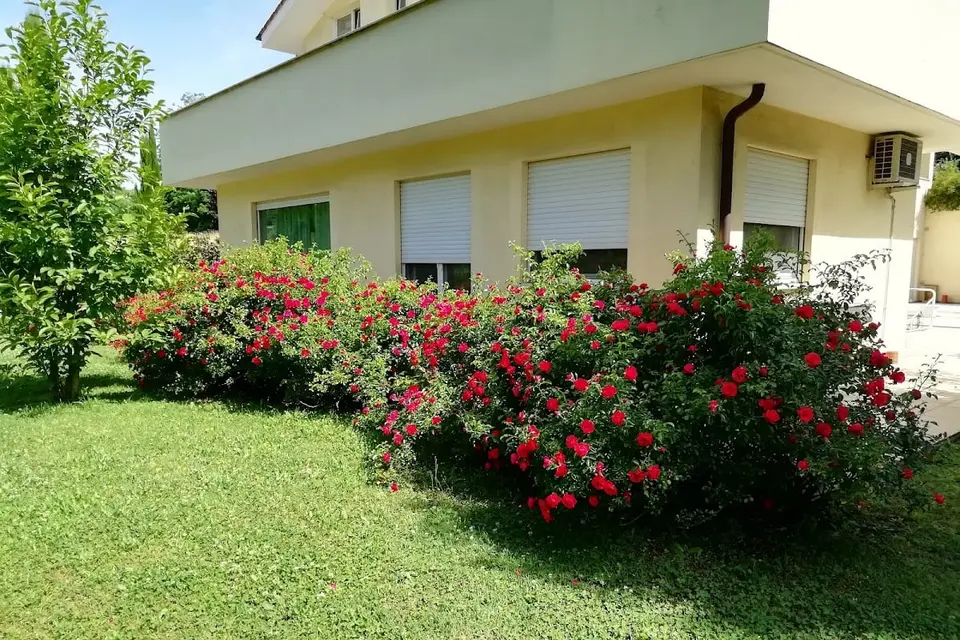 B&B Terra del Sole Valmontone