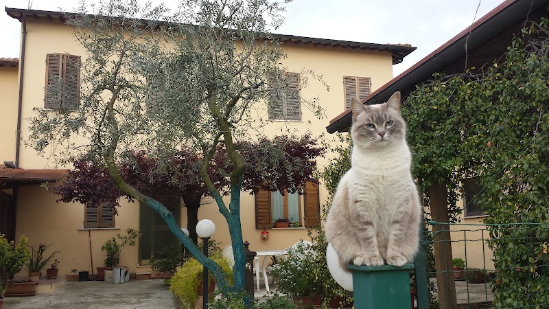 Bed And Breakfast Barbara Assisi