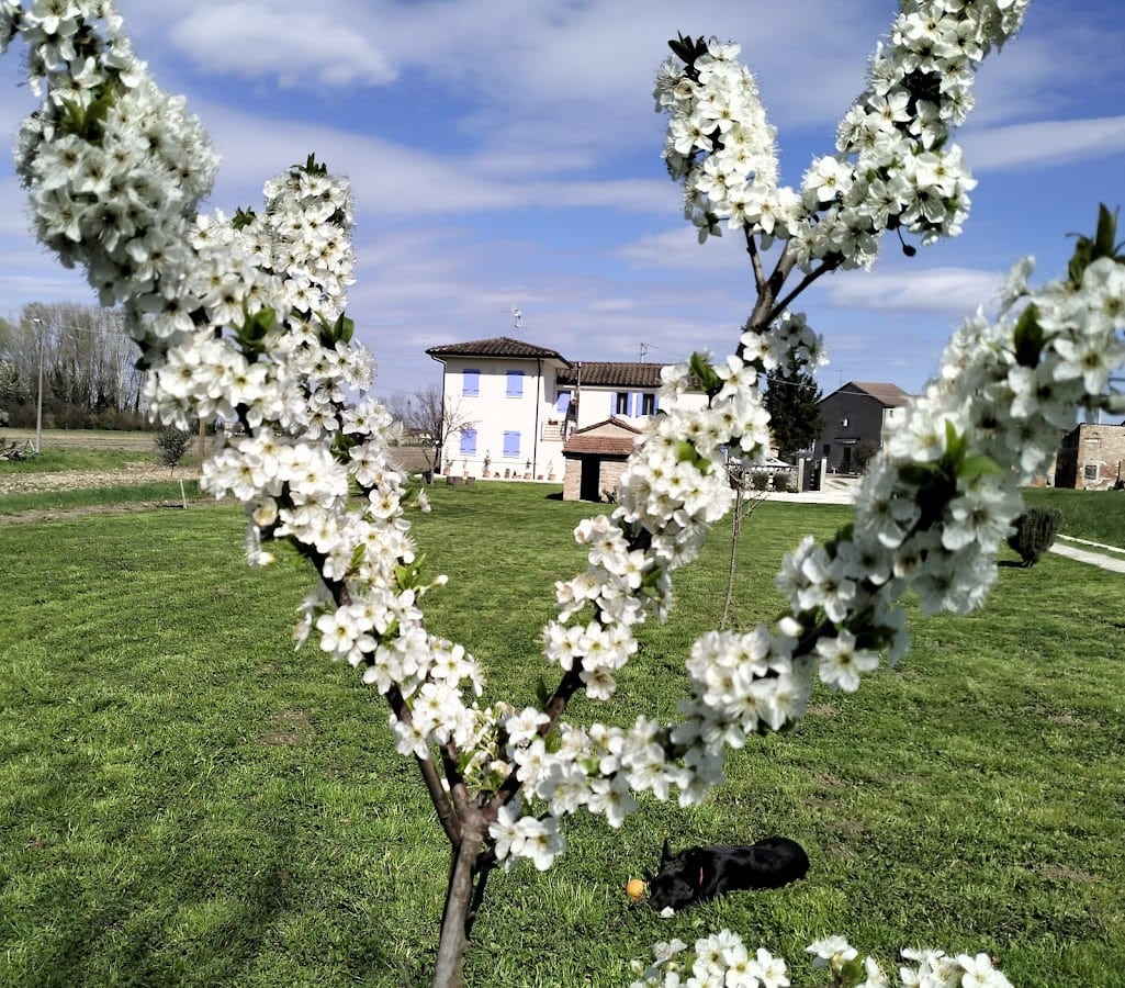 B&B Lilla All'Adige