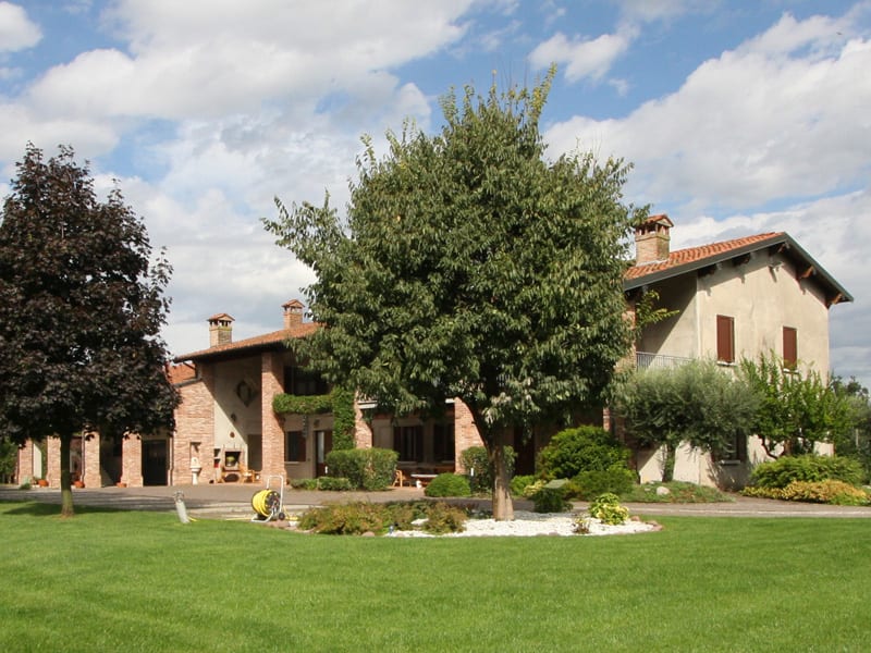 Le Rondini