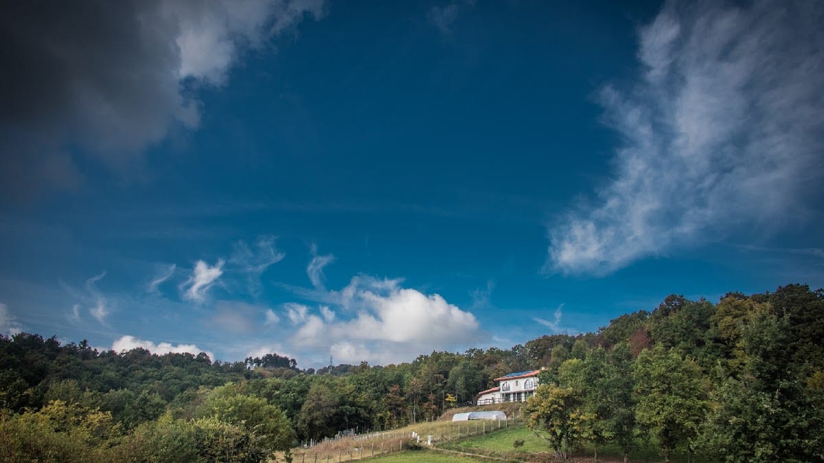 azienda agricola La Collina di Laura Bartolomeo