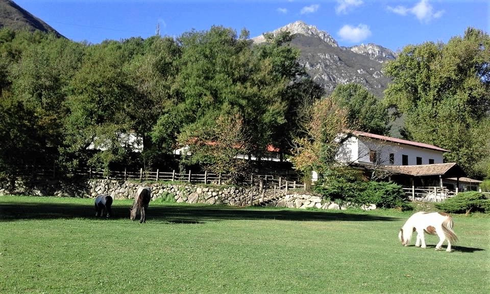 Azienda Agrituristica "Valle del Rio" di Tuzi Fabio