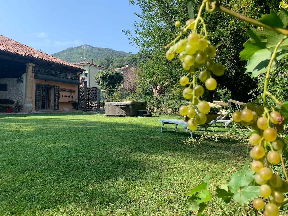 Il Casale del Vino