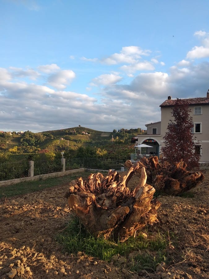 alberodikarta b&b