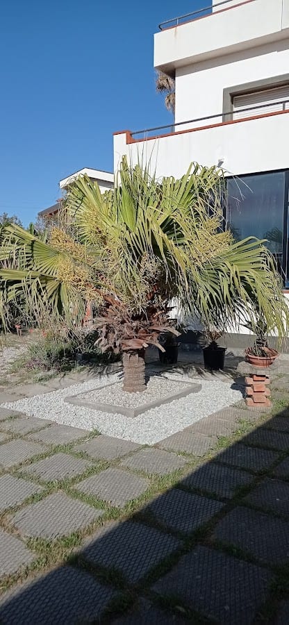 Idria B&B