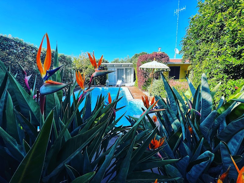 B&B La Casa Particular