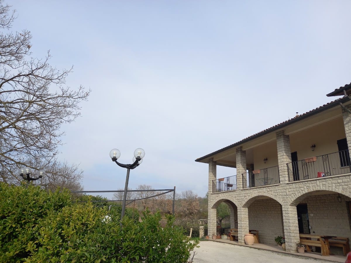 Agriturismo La Vite E L'ulivo