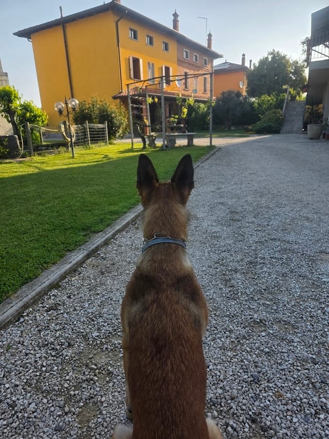 B&B Nono Tilio
