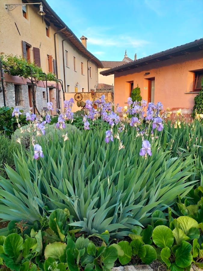 Resort Villa Manin