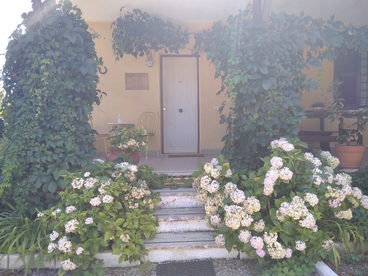 Life B&B