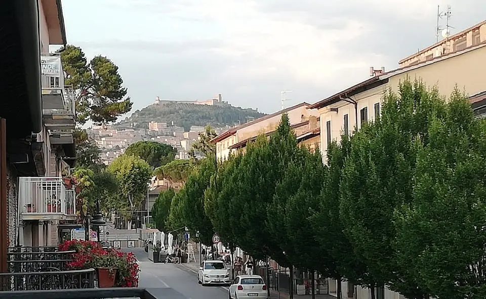 Camere la Basilica