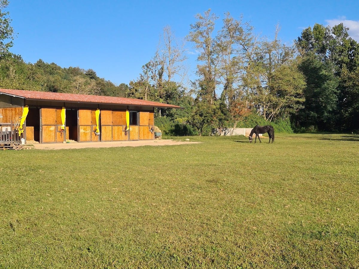 Agriturismo Helianthus
