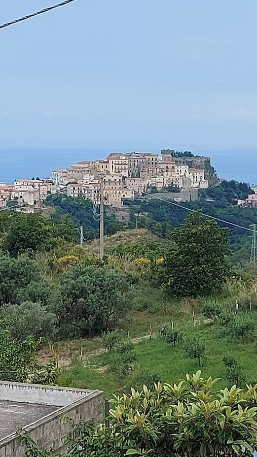 Tenuta dei Biondi Ulivi B&B