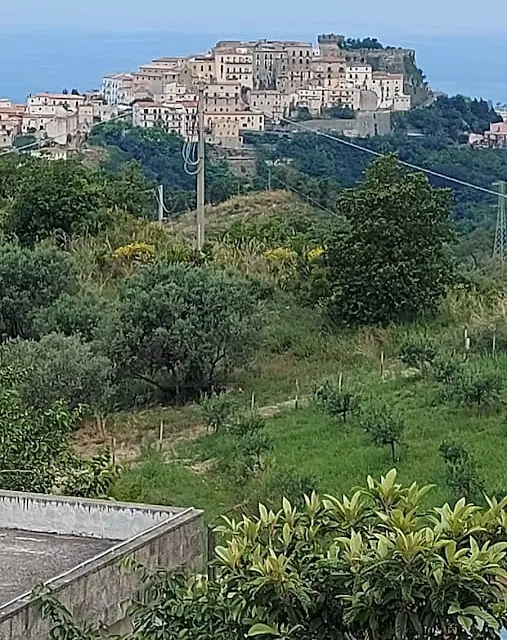 Tenuta dei Biondi Ulivi B&B