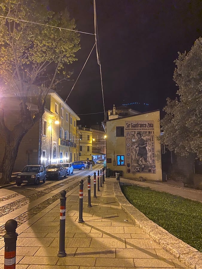 Gli olivi