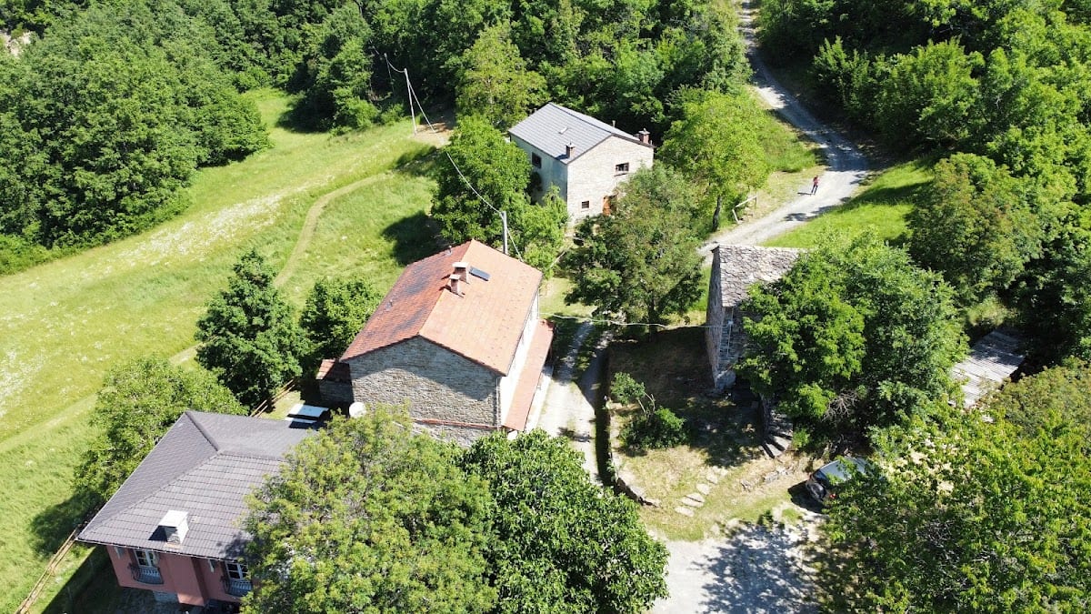 La Lupa e l'Orso