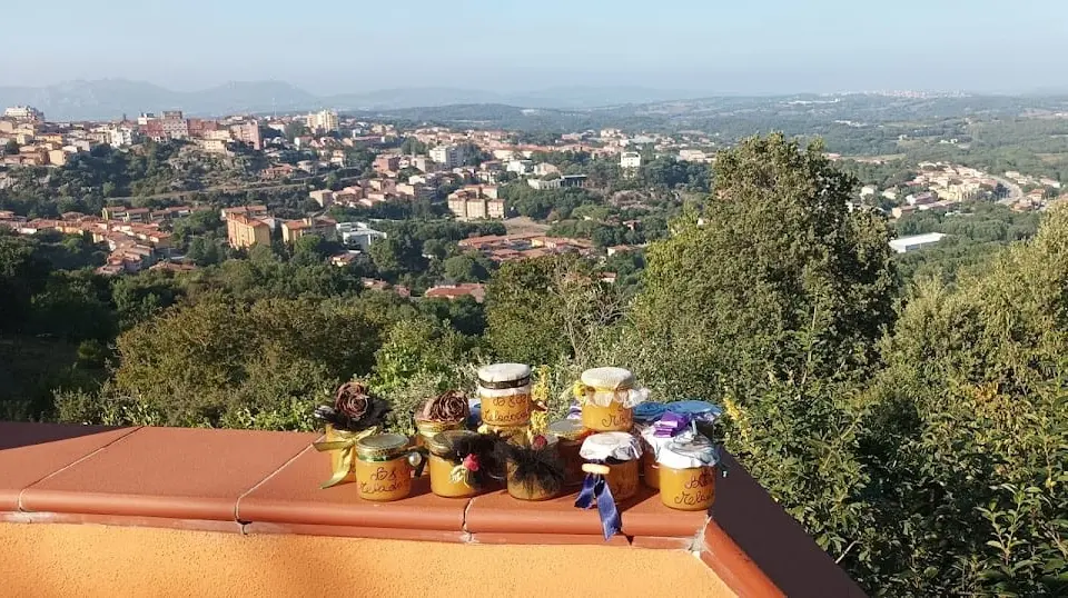 B&B Meladormo