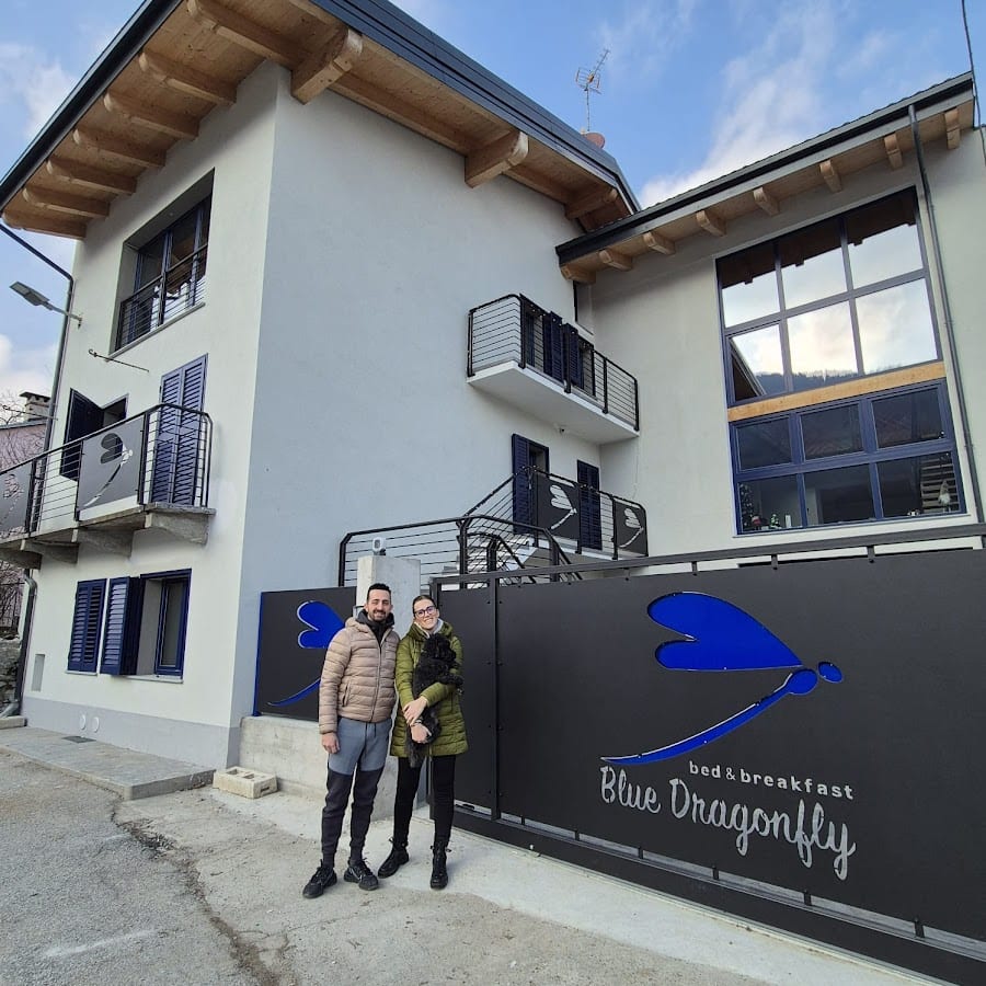 B&B Blue Dragonfly