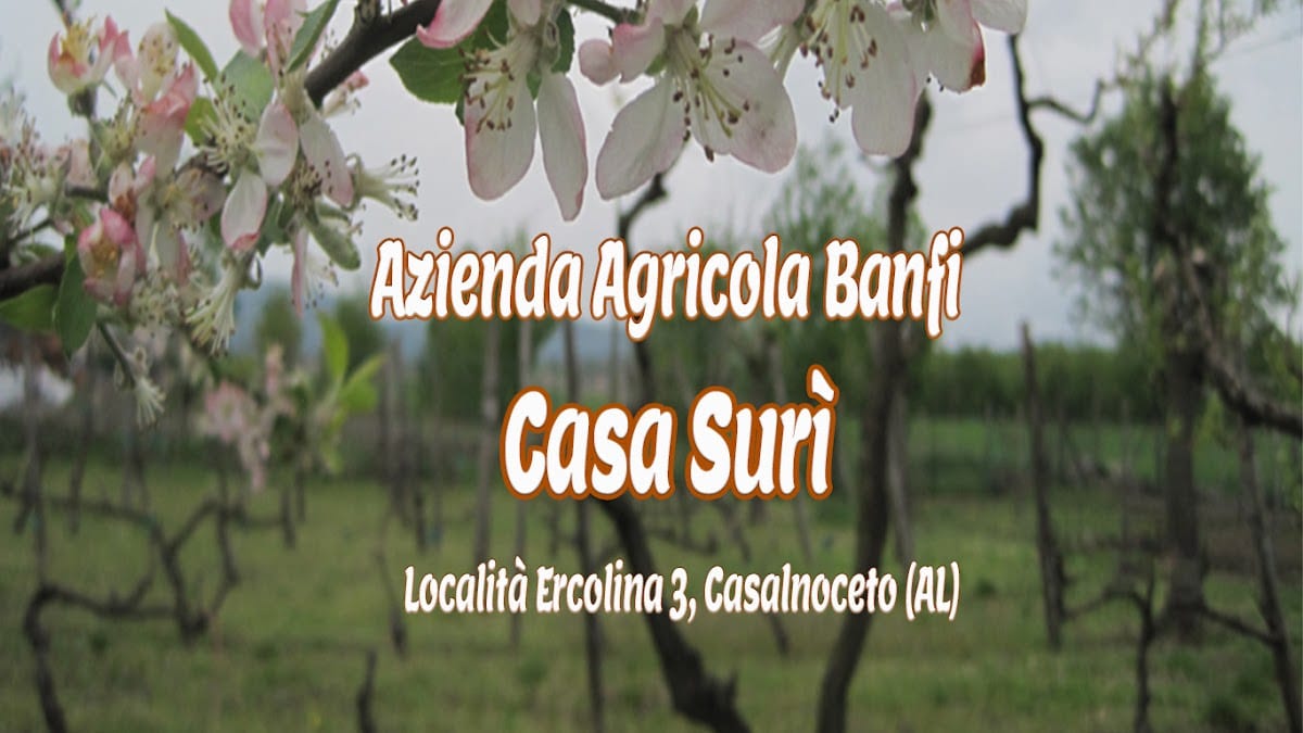 B&B Casa Surì