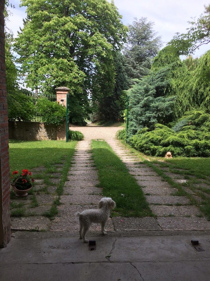 Country HouseTenuta Terensano