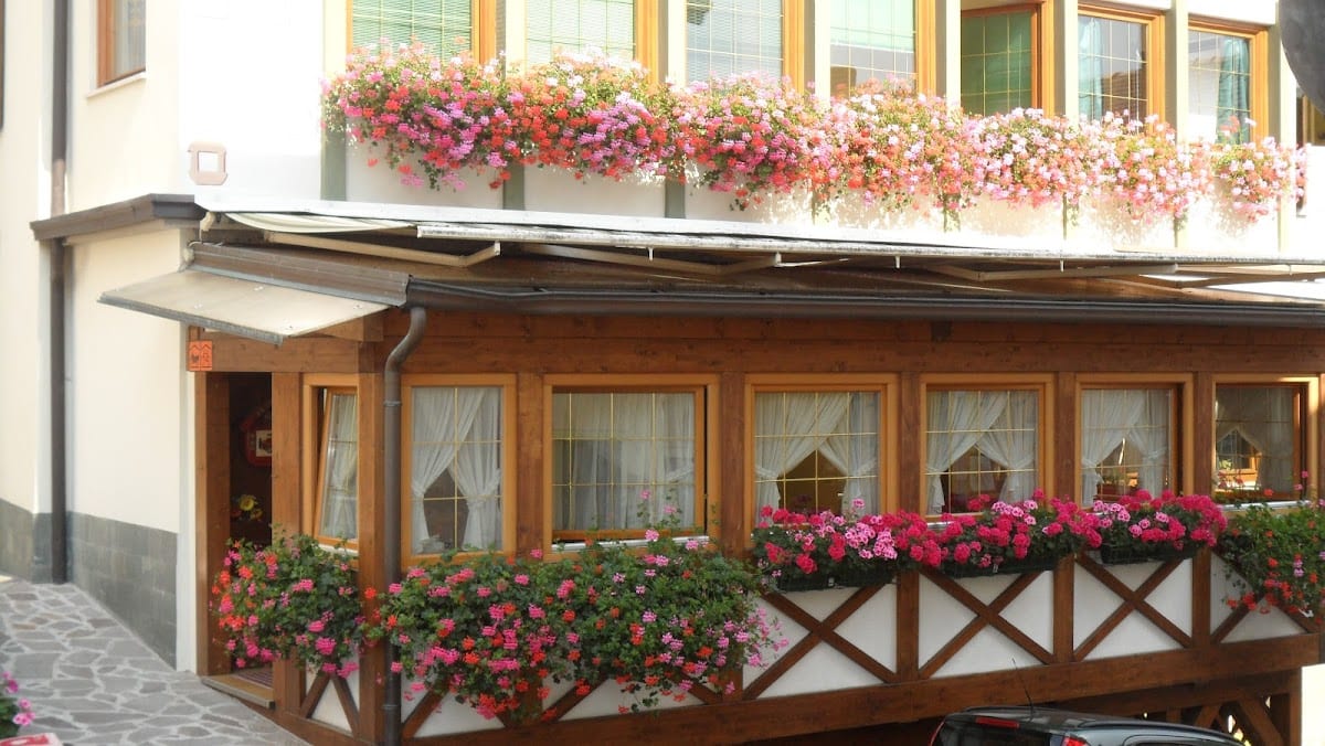 Albergo Alpina