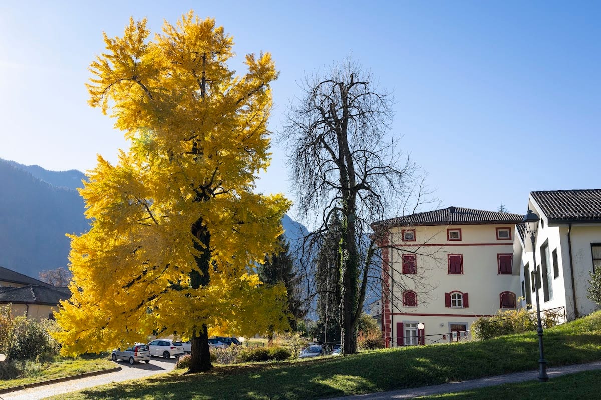 Albergo Villa Flora