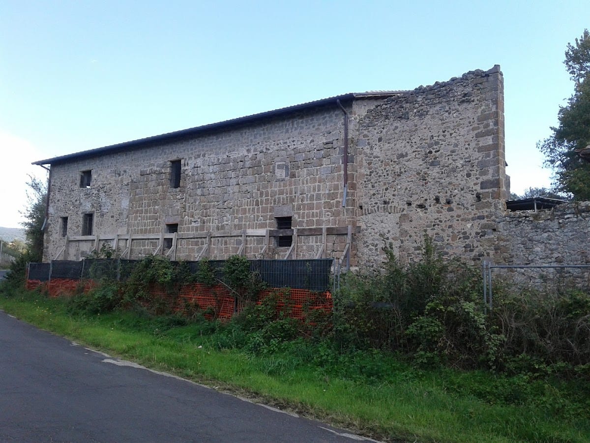 Forum Cassii