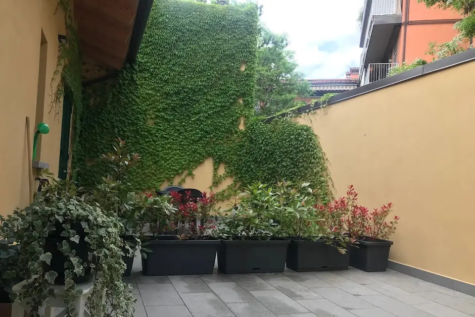 Corte Sant'Orsola 4