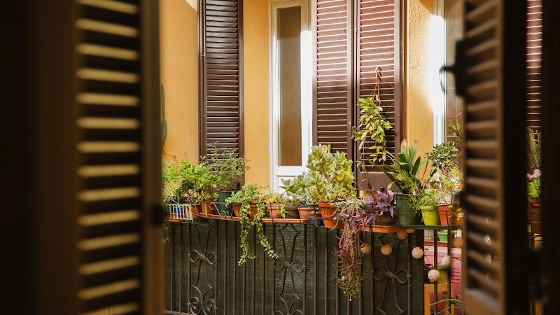 Good Morning Bologna - Marsala R&B