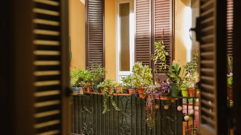 Good Morning Bologna - Marsala R&B