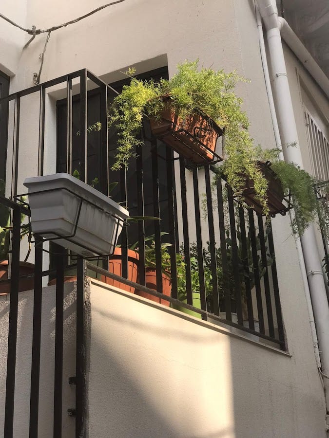 Guest House Regina Margherita