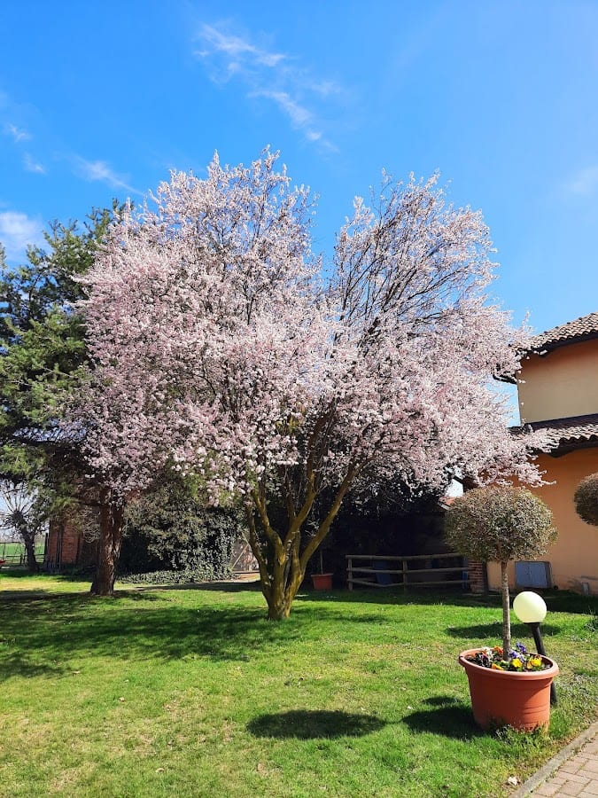 Agriturismo I Camini