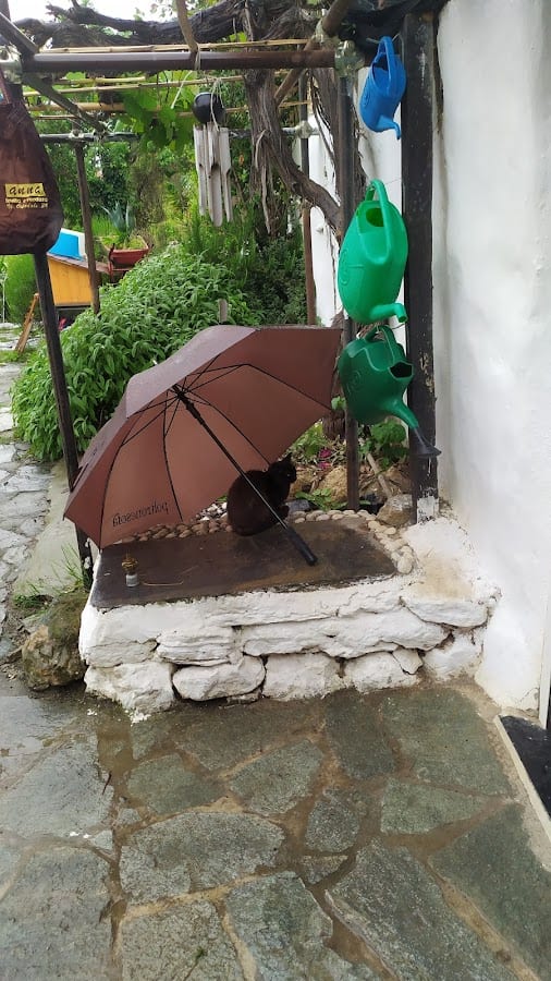 Bala Perdua