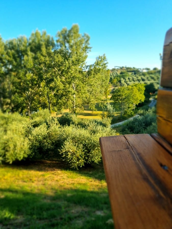 B&B Concaverde