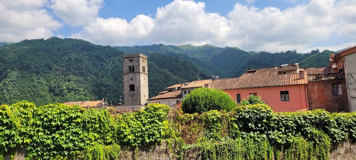 Azienda Agricola Macea