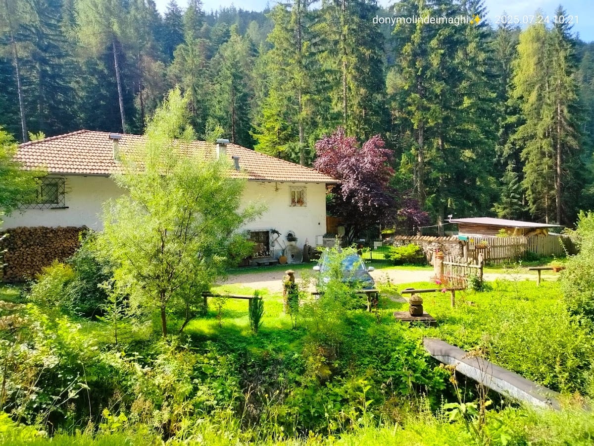 MOLIN DEI MAGHI