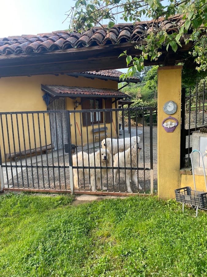La Robinera