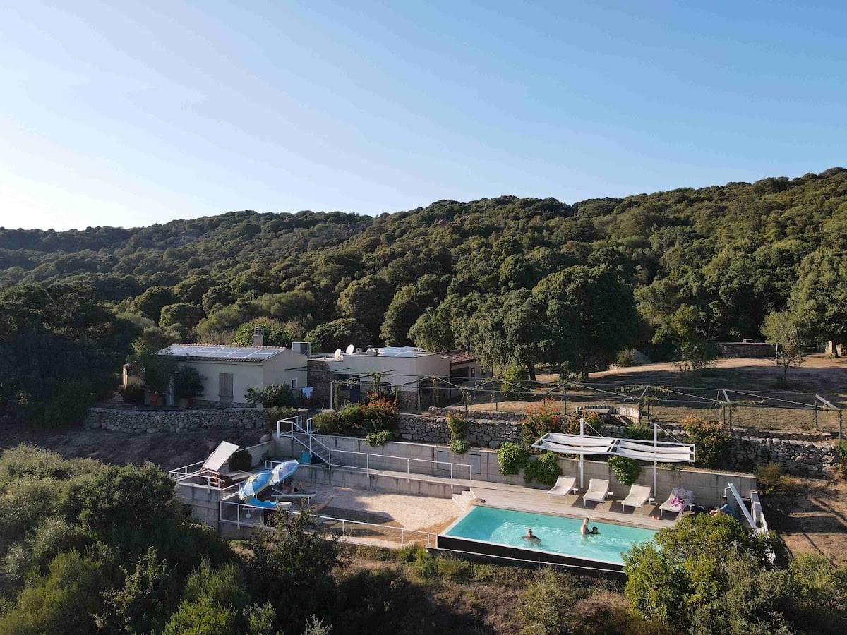 azienda agricola: LI PIREDDI