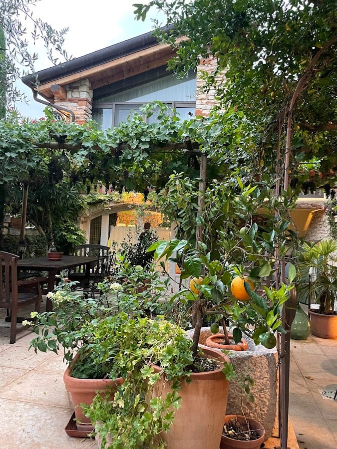Corte Tre Vigne