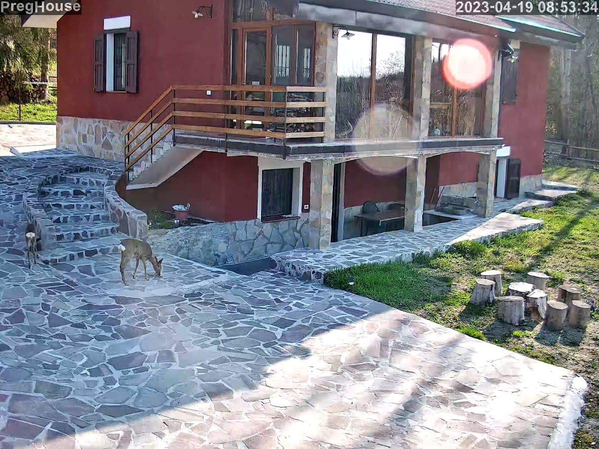 B&B La Casa nel Bosco