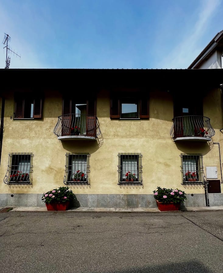 L'ulivo Selvatico