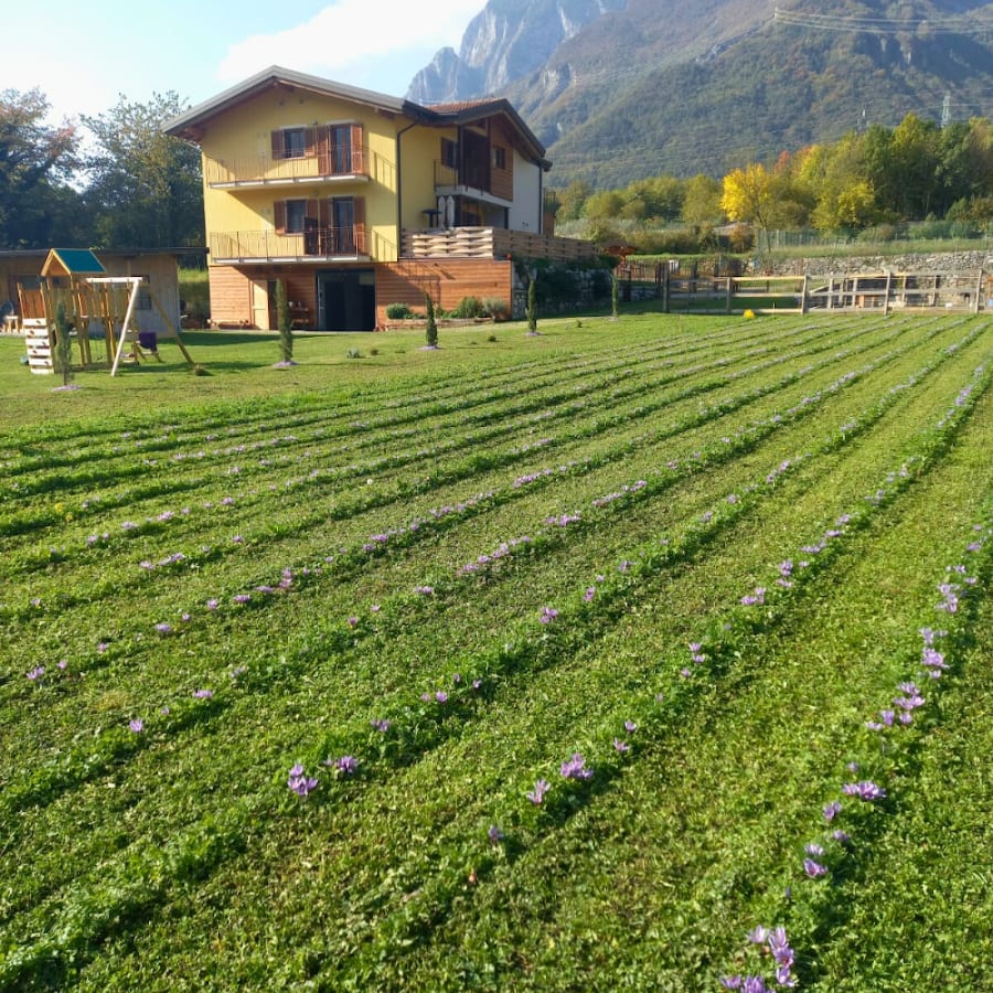 I sei petali | Agriturismo Azienda agricola