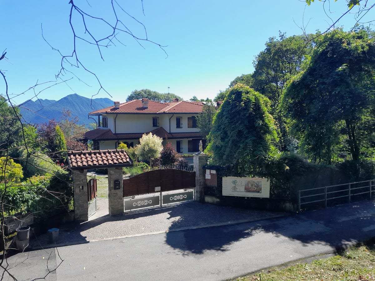Nel giardino di Dafne