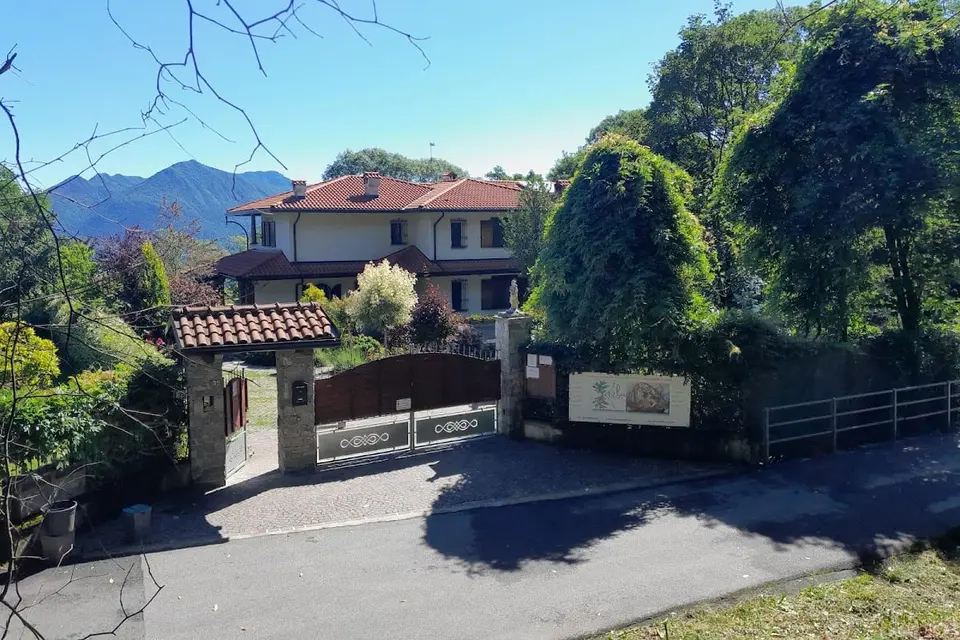 Nel giardino di Dafne