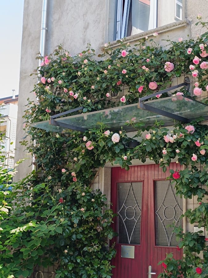 B&B La finestra sul giardino