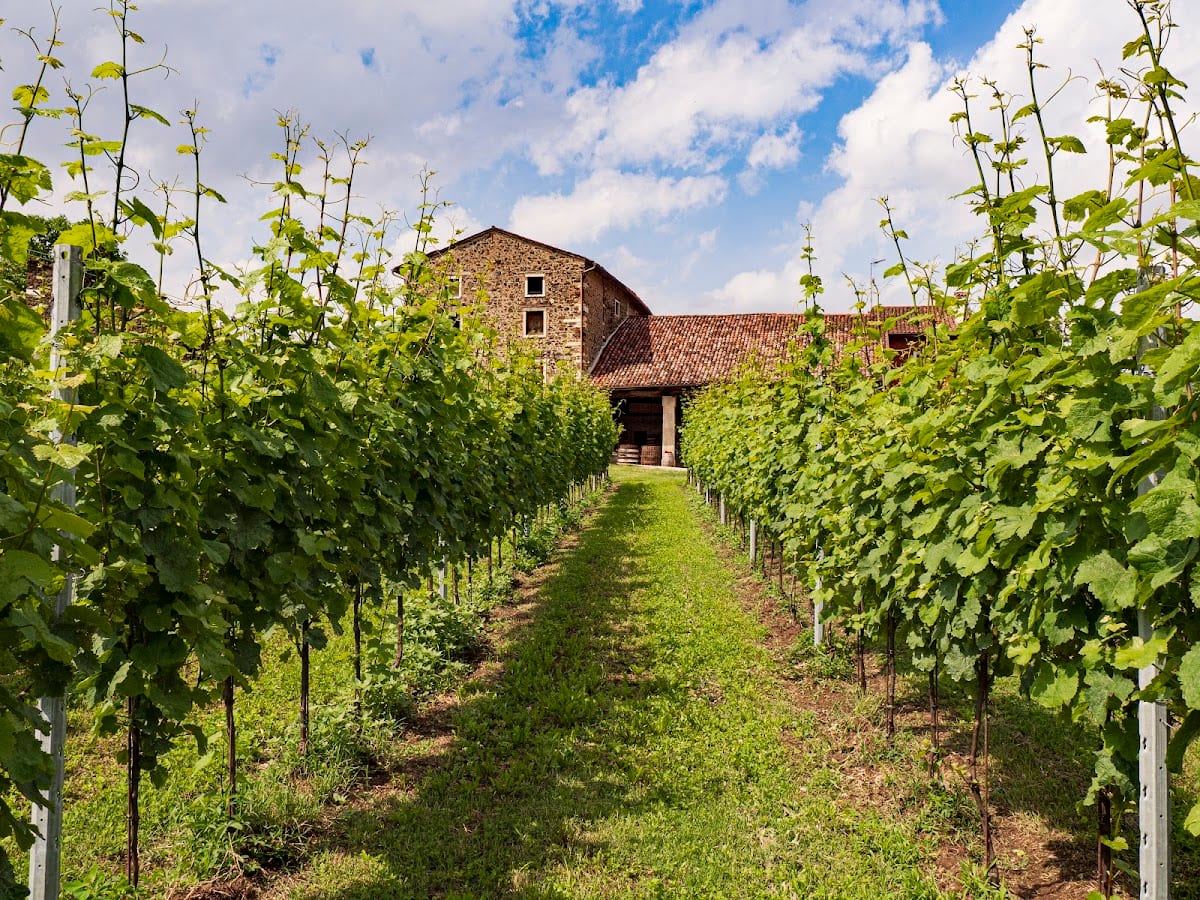 Masari Alla Casa Rossa