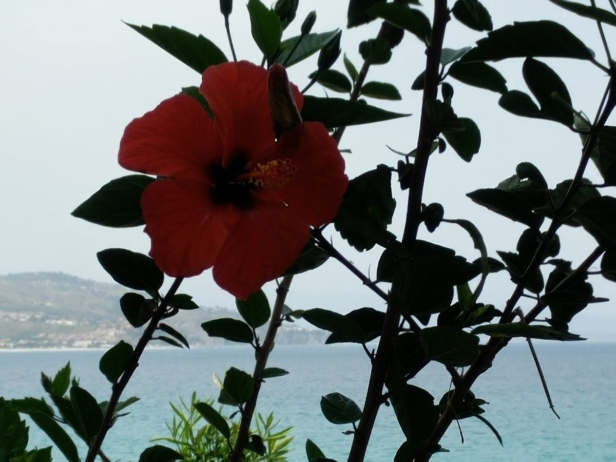 B&B La Santera