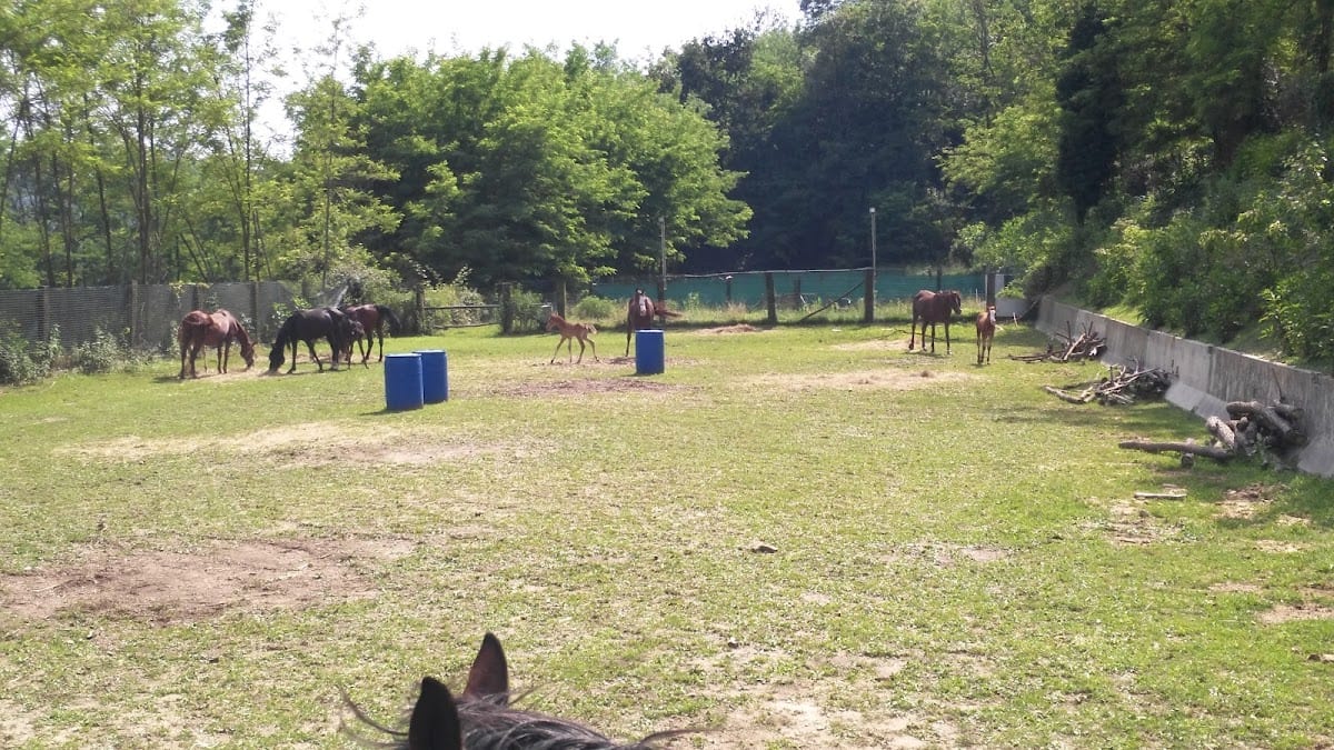 Goccia d'oro Ranch